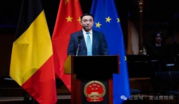 中欧建交50周年音乐会在布鲁塞尔圆满落幕，大宋佳 王国权等艺术家出席